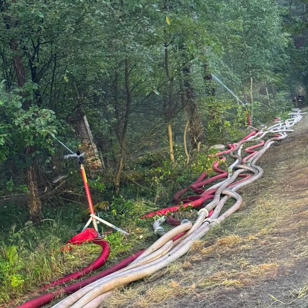 Schlauchleitungen im Wald bei der Waldbrandbekämpfung