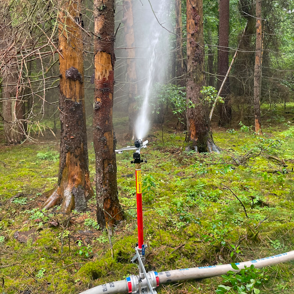 Waldbrandbekämpfung im Müritz-Nationalpark